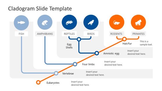 Cladogram PPT Template for Presentation