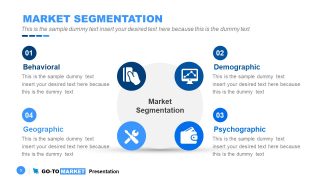 Model of Go-To Market Segmentation