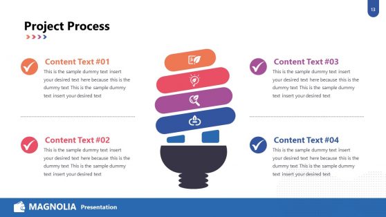 4 Steps Project Process Diagram PPT