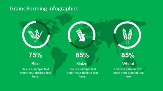 Grain Farming PowerPoint Slide
